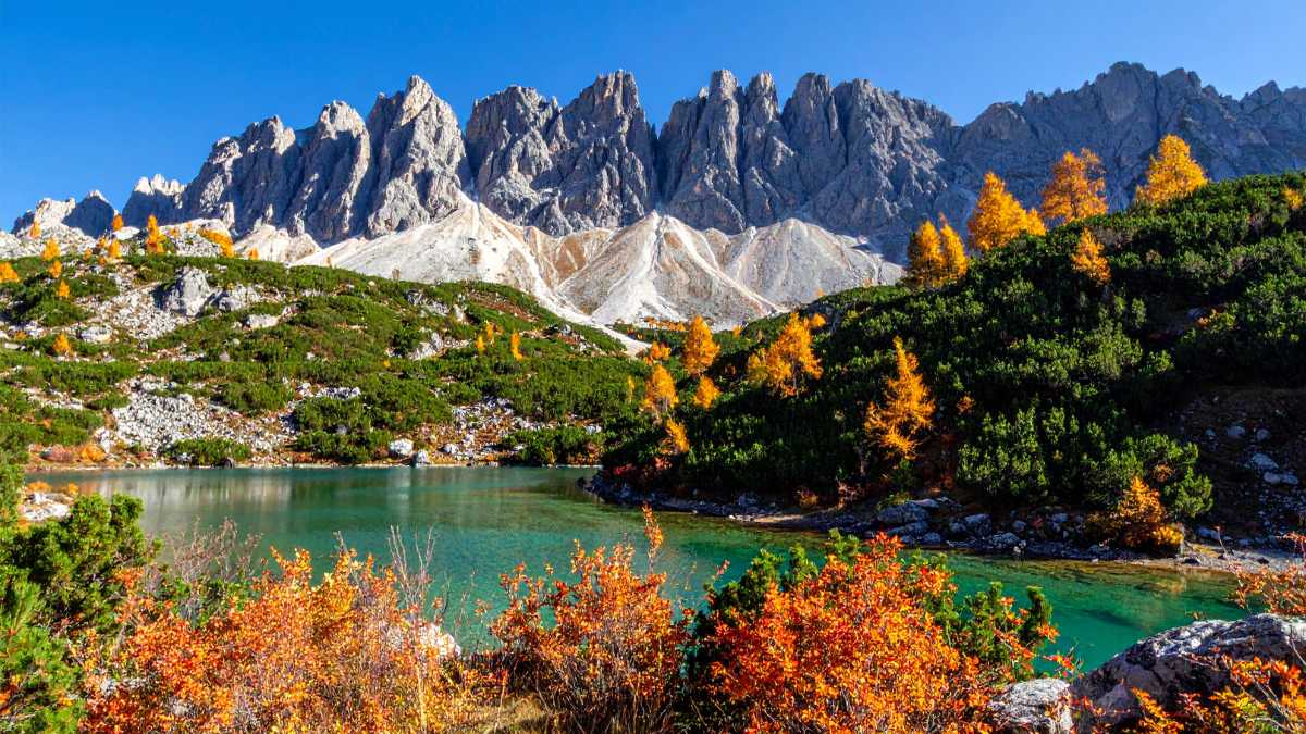 Feste ed Eventi a Lago di Molveno: Tradizioni e Celebrazioni